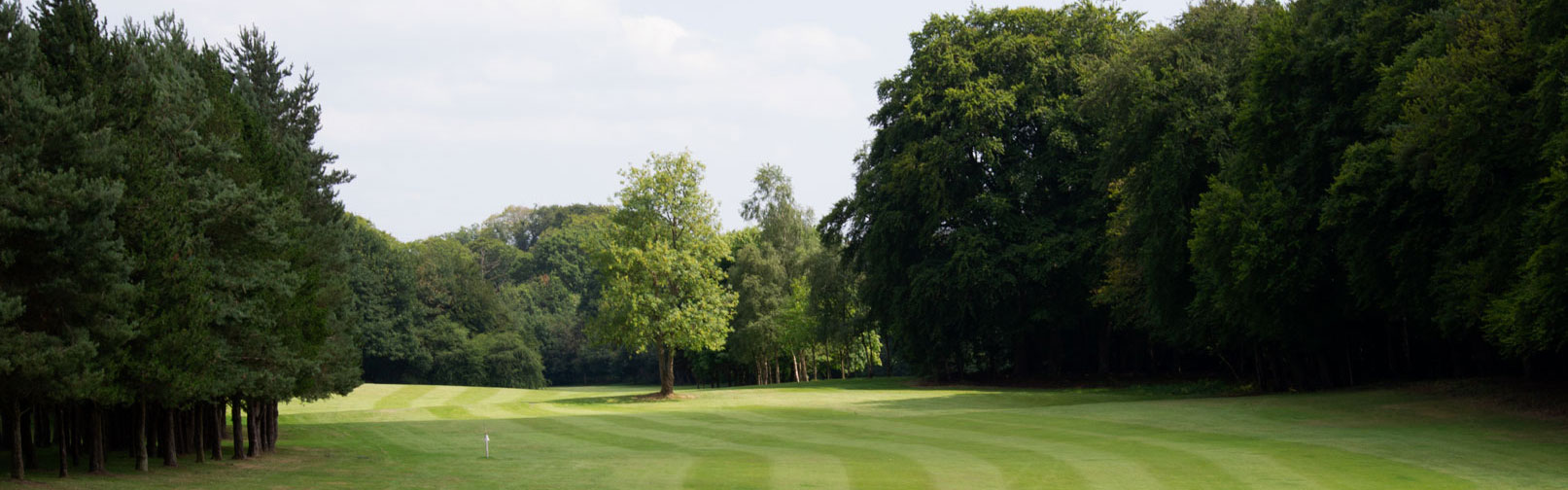 My Homepage - Moyola Park Golf Club